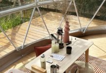 去山林放空! 日本最大露營公司來台推「山野森活」豪華沒極限 滿滿落羽松中賞夜景作夢!